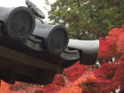 紅葉・二尊院