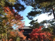 南禅寺の三門と紅葉