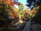 法然院の白砂壇と紅葉