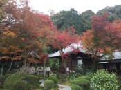 清閑寺の紅葉