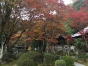 清閑寺の紅葉
