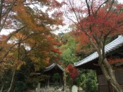 清閑寺の紅葉