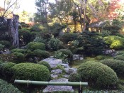 安楽寺庭園