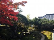 霊鑑寺の紅葉