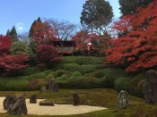 光明院「波心の庭」の紅葉