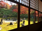 光明院「波心の庭」の紅葉
