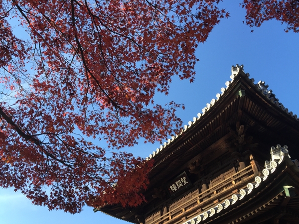 建仁寺の三門と紅葉