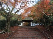 紅葉・安楽寺