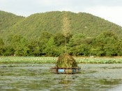 大沢池には丸太で組まれた祭壇が浮かぶ