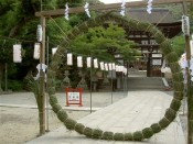 28日から自由に芽の輪くぐりが出来る