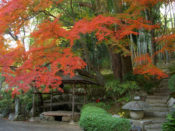 明星井（天人影向の井）と紅葉