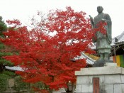 光明寺の法然上人像と紅葉