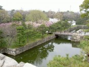 二条城内堀と桜