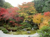 紅葉・泉涌寺