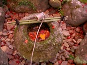 厭離庵庭園の蹲（つくばい）に映るモミジ