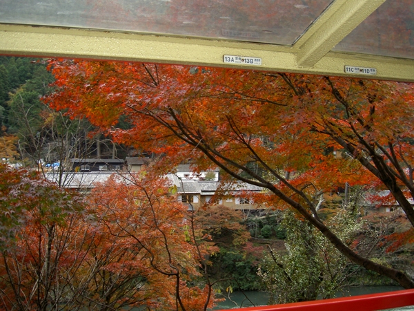 嵯峨野トロッコ列車の車窓から紅葉狩り