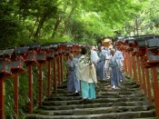 本宮参道の石段を下りる御神輿