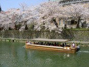 祇園白川～インクライン桜コース