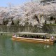 祇園白川～インクライン桜コース