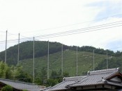 西賀茂の船山（標高約313ｍ）