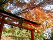 大原野神社鳥居と紅葉