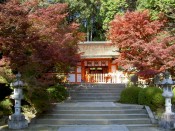 大原野神社の紅葉