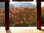 高山寺「石水院」と紅葉