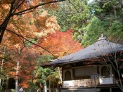 高山寺の開山堂と紅葉