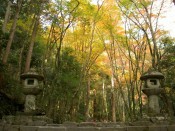 高山寺の金堂道と紅葉