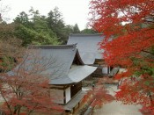 神護寺の五大堂と紅葉