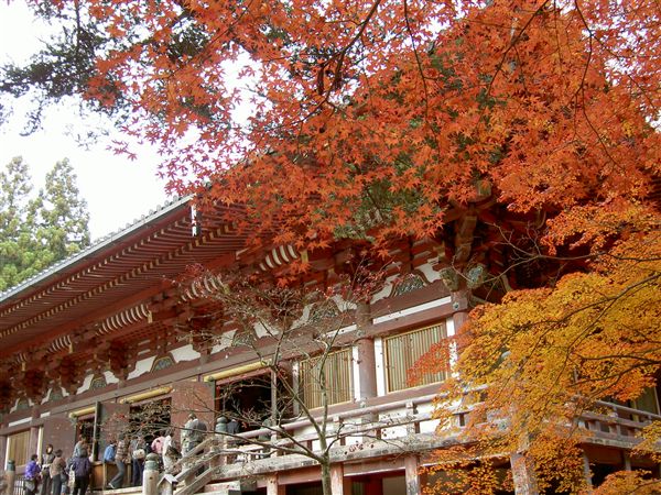 神護寺の金堂と紅葉