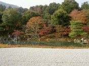 天龍寺の曹源池庭園の紅葉