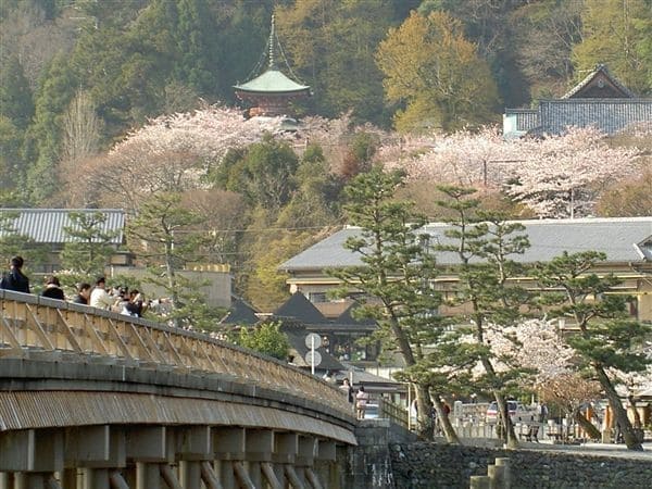 嵐山渡月橋～大沢池桜コース