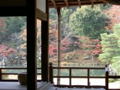 天龍寺の曹源池庭園の紅葉