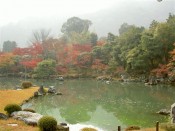 天龍寺の曹源池庭園の紅葉