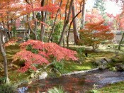 宝厳院庭園の紅葉