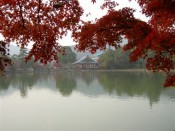 大覚寺の五大堂と大沢池と紅葉