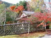 光悦寺「光悦垣」と紅葉