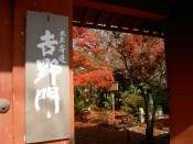 常照寺の吉野門と紅葉