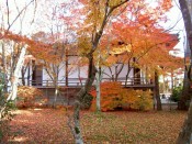 常照寺の本堂と紅葉