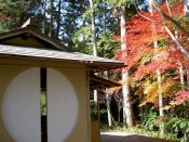 常照寺の遺芳庵茶席と紅葉