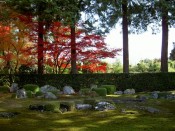 石と緑の苔と赤い紅葉が美しい円通寺庭園