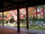 円通寺の真っ赤なモミジが室内にも映える