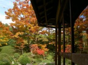 枯山水庭園の紅葉