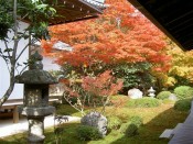 枯山水庭園の紅葉