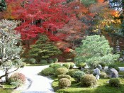 曼殊院庭園の紅葉