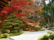 曼殊院庭園の紅葉