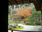 曼殊院庭園の紅葉