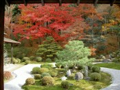 曼殊院庭園の紅葉