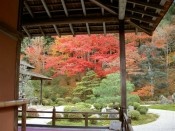 紅葉・曼殊院